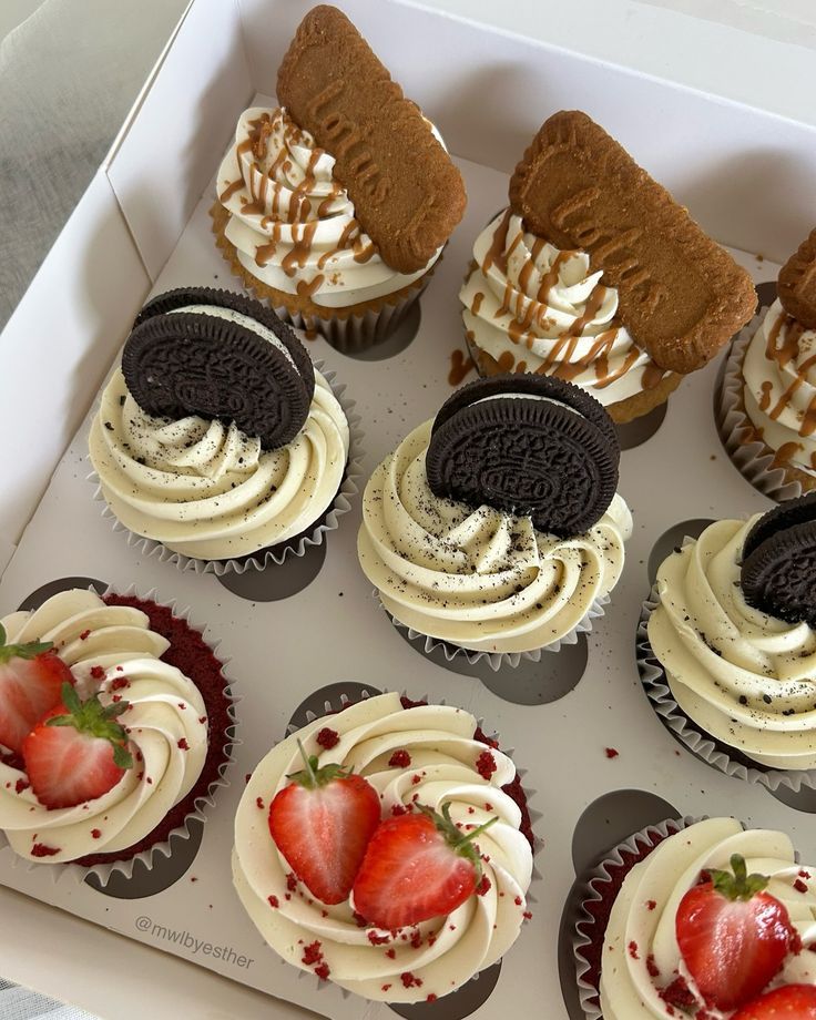 Coral Cupcake